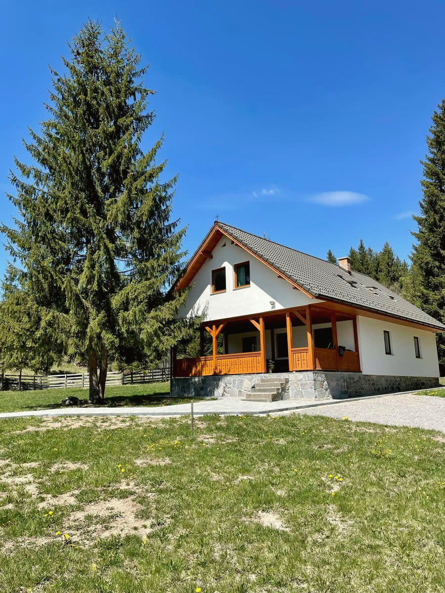 A ház nyáron, kék ég alatt, a nagy fenyő mellett