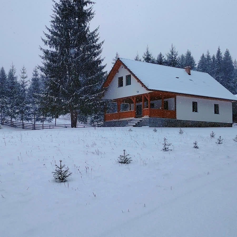 A ház télen, havas fenyők között